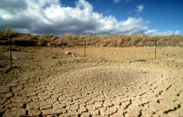 Georgia Drought Picture