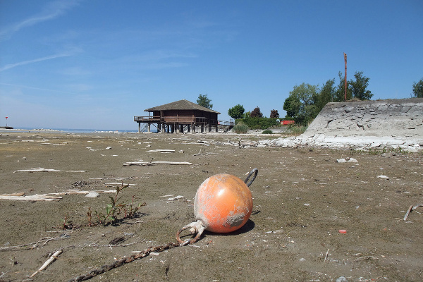 Georgia Drought Picture