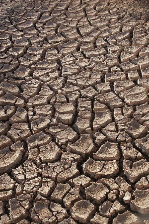 Georgia Drought Picture