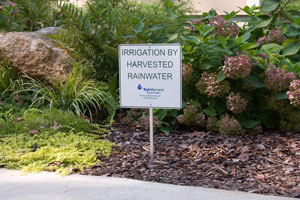 Metal Rain Harvesting Sign with Stand