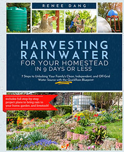 Harvesting Rainwater for Your Homestead in 9 Days or Less