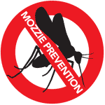 Mosquito Prevention