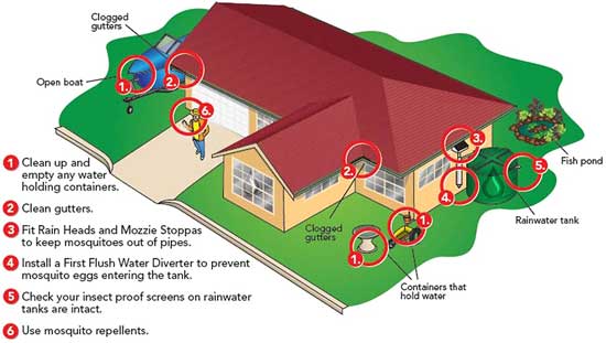 Six steps to mosquito-proofing a rainwater collection system